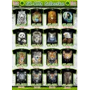 Rock Eagle KIDS t-shirts GK 218 - 259