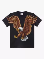 DISCHARGE (D) 43  (Rock Eagle, T-Shirts)