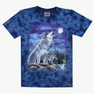 TD 138 (Animals, T-Shirts,Rock Eagle)