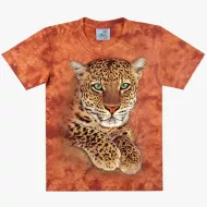 TD 168 (Animals, T-Shirts,Rock Eagle)