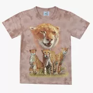 TD 170  (Animals, T-Shirts,Rock Eagle)