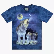 TD 193 (Animals, T-Shirts,Rock Eagle)