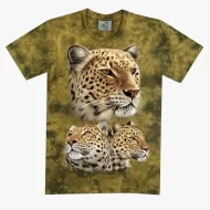 TD 210 (Animals, T-Shirts,Rock Eagle)