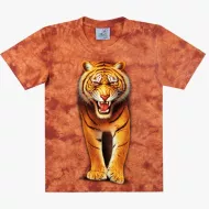 TD 215 (Animals, T-Shirts,Rock Eagle)