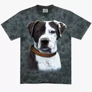 TD 246 (Animals, T-Shirts,Rock Eagle)