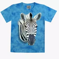 TD 247 (Animals, T-Shirts,Rock Eagle)