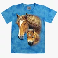 TD 252 (Animals, T-Shirts,Rock Eagle)