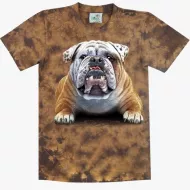 TD 263 (Animals, T-Shirts,Rock Eagle)