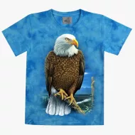 TD 264 (Animals, T-Shirts,Rock Eagle)