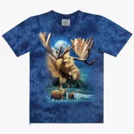 TD 266 (Animals, T-Shirts,Rock Eagle)