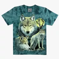 TD 358 (Animals, T-Shirts,Rock Eagle)