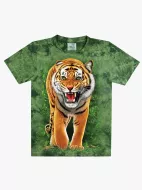 TD 381 (Animals, T-Shirts,Rock Eagle)