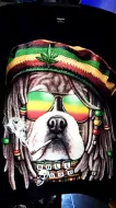 Thanabat Animals. GW 29 (T-Shirts. Heavy)
