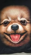 Thanabat Animals. GW 31 (T-Shirts. Heavy)