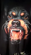 Thanabat Animals. GW 38 (T-Shirts. Heavy)