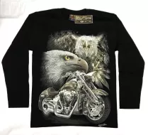 Rock Chang longsleeve LS HD №26 лонгслив,орёл,мотоцикл