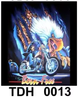 TDH 0013 HOT ROCK t-shirt (байкеры)
