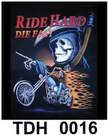 TDH 0016 HOT ROCK t-shirt (байкеры)