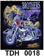 TDH 0018 HOT ROCK t-shirt (байкеры)