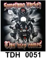 TDH 0051 HOT ROCK t-shirt (байкеры)