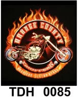 TDH 0085 HOT ROCK t-shirt (байкеры)