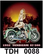 TDH 0088 HOT ROCK t-shirt (байкеры)