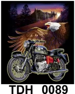 TDH 0089 HOT ROCK t-shirt (байкеры)