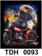 TDH 0093 HOT ROCK t-shirt (байкеры)