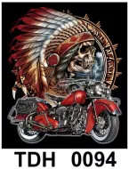 TDH 0094 HOT ROCK t-shirt (байкеры)