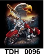 TDH 0096 HOT ROCK t-shirt (байкеры)