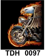 TDH 0097 HOT ROCK t-shirt (байкеры)