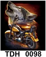 TDH 0098 HOT ROCK t-shirt (байкеры)