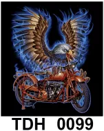 TDH 0099 HOT ROCK t-shirt (байкеры)