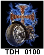 TDH 0100 HOT ROCK t-shirt (байкеры)