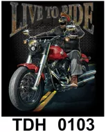 TDH 0103 HOT ROCK t-shirt (байкеры)