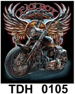 TDH 0105 HOT ROCK t-shirt (байкеры)
