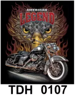 TDH 0107 HOT ROCK t-shirt (байкеры)