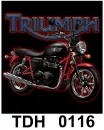 TDH 0116 HOT ROCK t-shirt (байкеры)