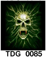TDG 0085 HOT ROCK t-shirt (черепа)