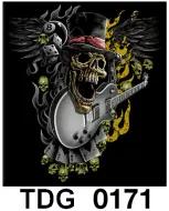 TDG 0171 HOT ROCK t-shirt (черепа)