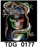 TDG 0177 HOT ROCK t-shirt (черепа)