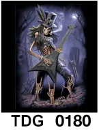 TDG 0180 HOT ROCK t-shirt (черепа)
