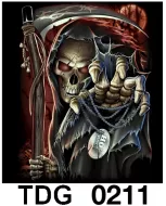 TDG 0211 HOT ROCK t-shirt (черепа)