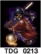 TDG 0213 HOT ROCK t-shirt (черепа)