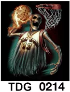TDG 0214 HOT ROCK t-shirt (черепа)