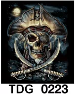 TDG 0223 HOT ROCK t-shirt (черепа)