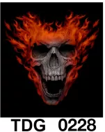 TDG 0228 HOT ROCK t-shirt (черепа)