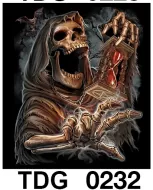 TDG 0232 HOT ROCK t-shirt (черепа)