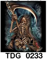 TDG 0233 HOT ROCK t-shirt (черепа)