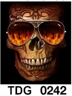 TDG 0242 HOT ROCK t-shirt (черепа)